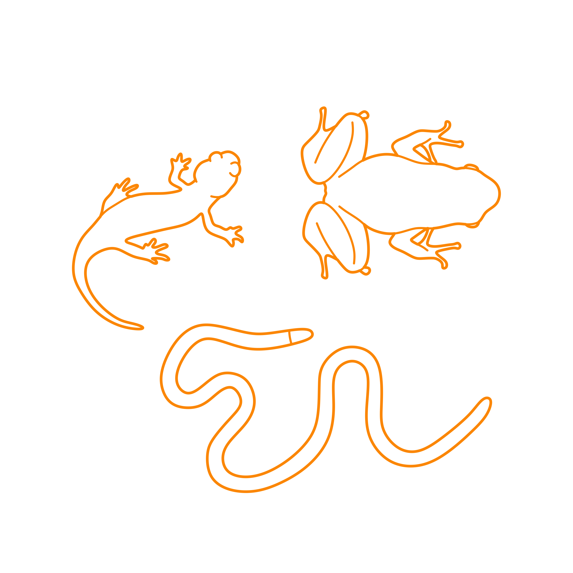 Animals Amphibians Tracing Svg Vector Free Vectors